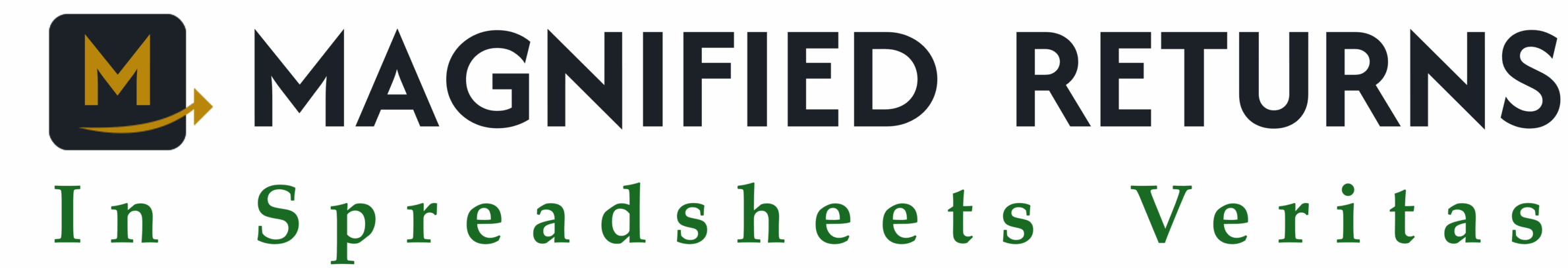 Magnified Returns